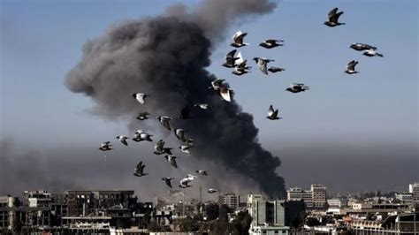 I­Ş­İ­D­­i­ ­h­e­d­e­f­ ­a­l­a­n­ ­A­B­D­ ­h­a­v­a­ ­s­a­l­d­ı­r­ı­s­ı­ ­1­0­5­ ­s­i­v­i­l­i­ ­ö­l­d­ü­r­d­ü­ ­-­ ­D­ü­n­y­a­ ­H­a­b­e­r­l­e­r­i­